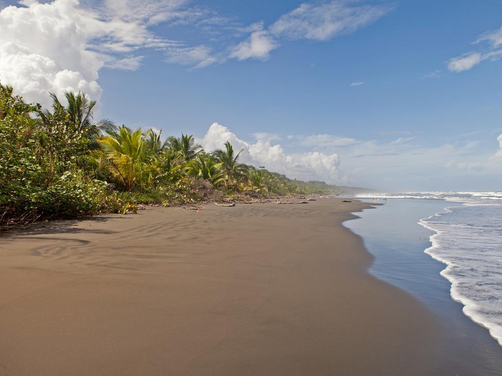 Hotel Caribbean Coconut Кауита Экстерьер фото