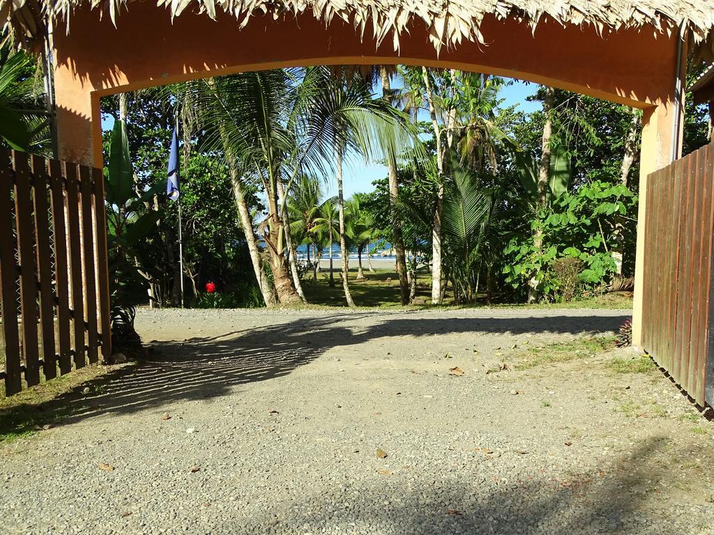 Hotel Caribbean Coconut Кауита Экстерьер фото