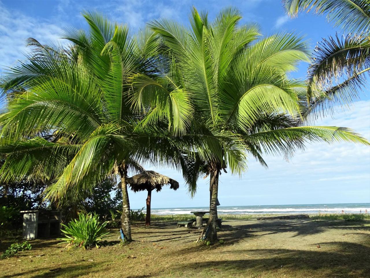 Hotel Caribbean Coconut Кауита Экстерьер фото