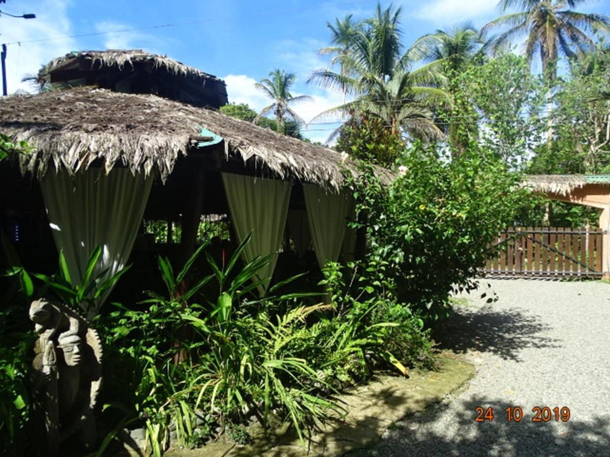 Hotel Caribbean Coconut Кауита Экстерьер фото